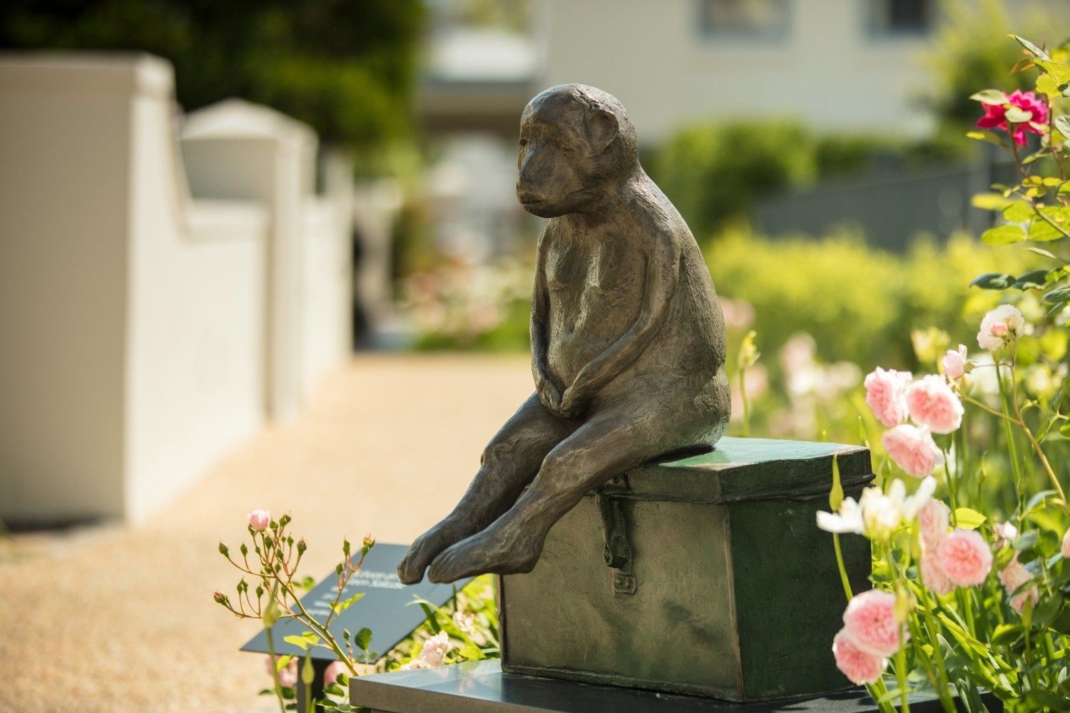 Indian model Bhavitha Mandava is Chanel's new House Ambassador